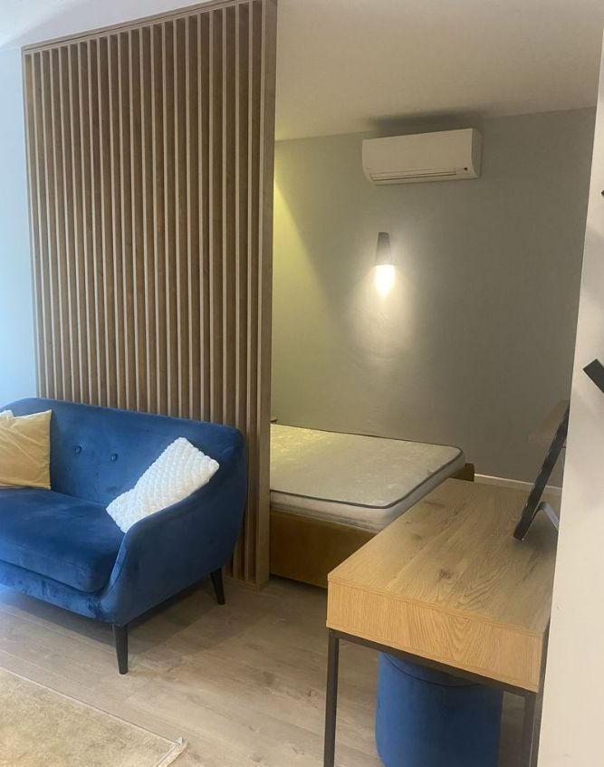 Studio modern | 38 mp | Ultracentral | UMF | USAMV - Poză 2
