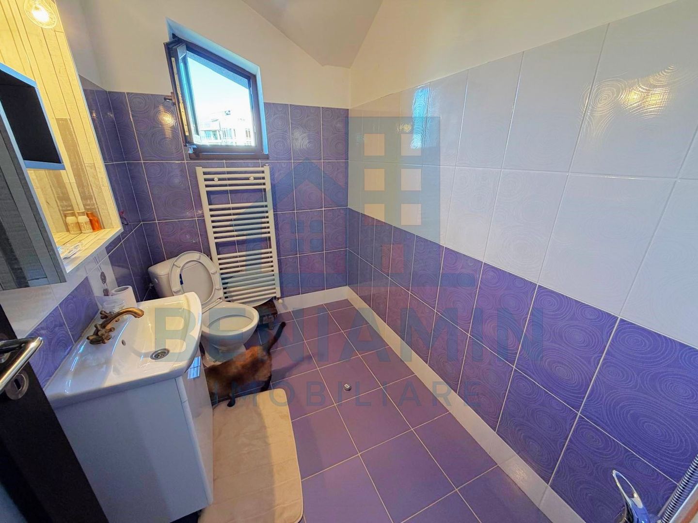 Casa P+M-Zona Hanul Doctorului-Teren 500mp-Toate Utilitatile-2010 - Poză 14