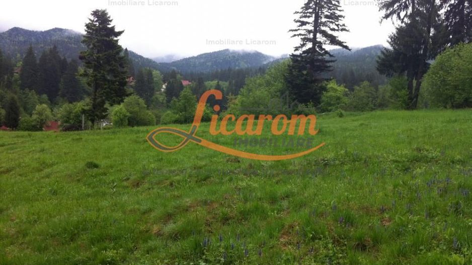 Teren intravilan Cotul Donului,pretabil Hotel/pensiune. - Poză 6