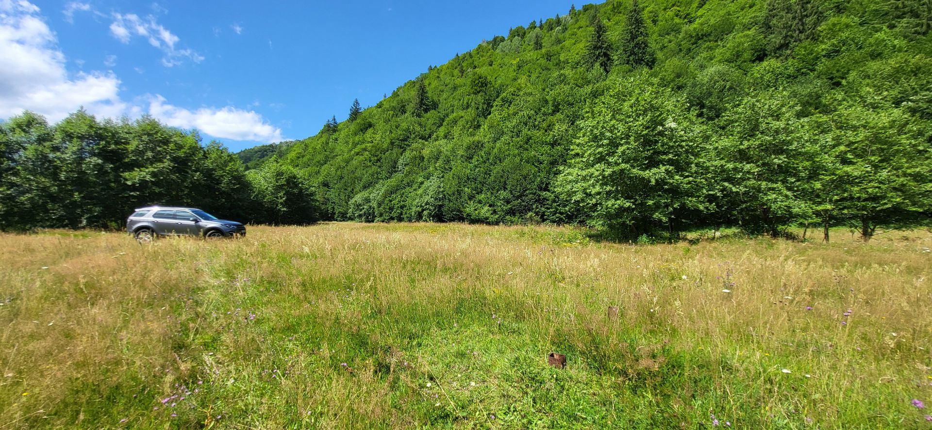 Plaiul Foii, teren pretabil casă de vacanță, pensiune, comision 0% - Poză 10