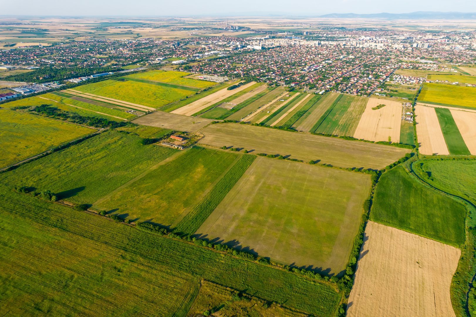 Teren de 10.000 mp situat în Bujac, Arad - Poză 5