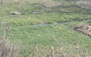 Proprietate de excepție în Lelești – la doar 8 km de Târgu Jiu - Poză 36
