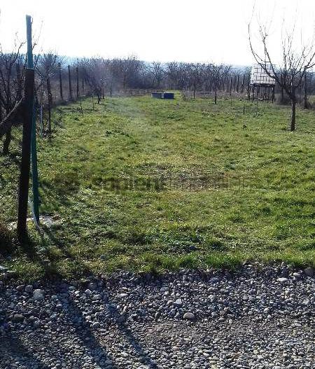 Teren extravilan in zona Oncea - Poză 7