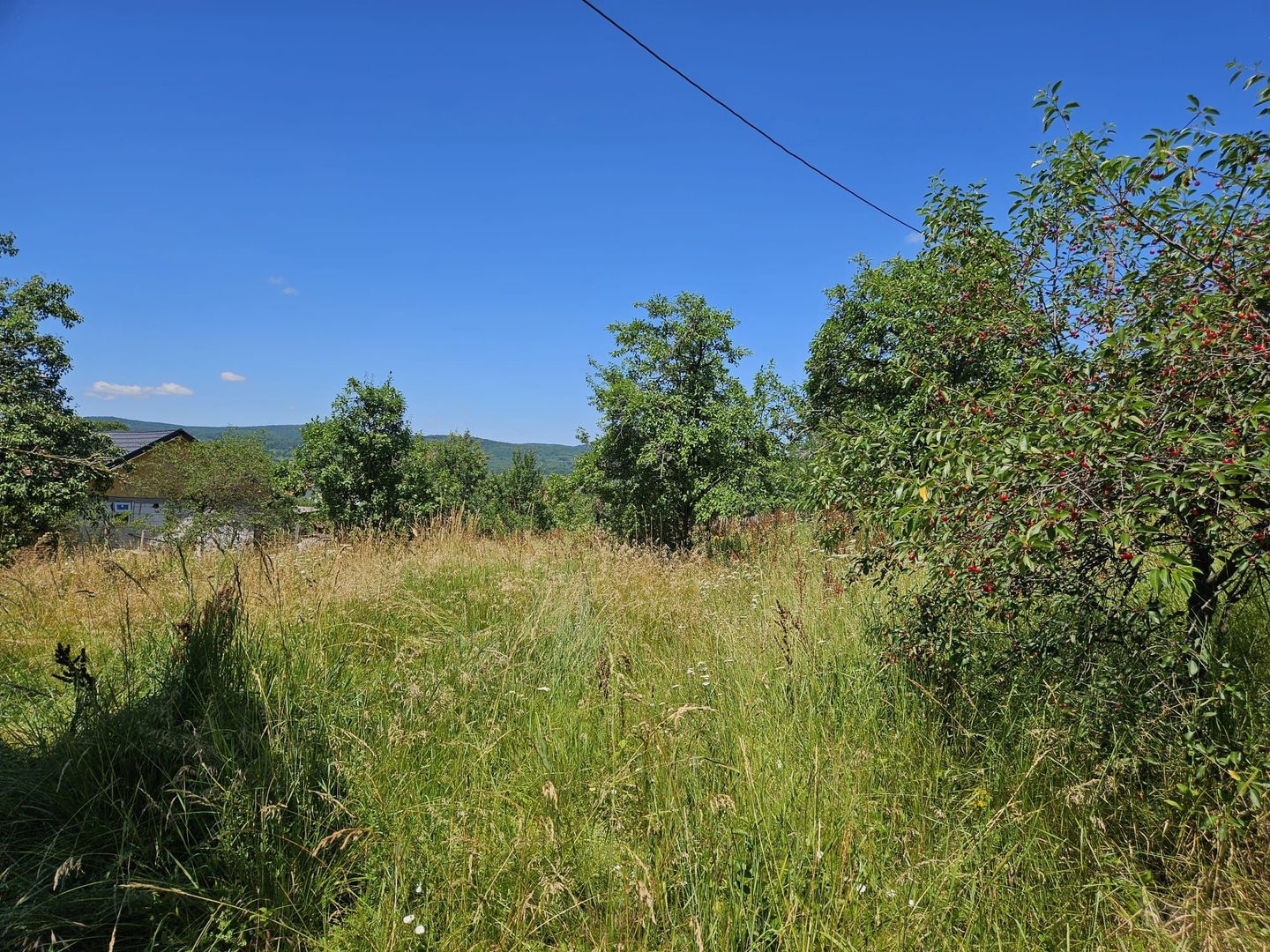 Vanzare teren intravilan, Zigoneni - Curtea de Arges - Poză 9