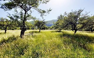 Teren superb in Bran la 5 min de Castel, 37 euro/mp. - Poză 1