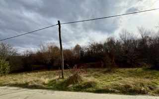 Teren extravilan 1030 mp, Cârțișoara - Poză 3