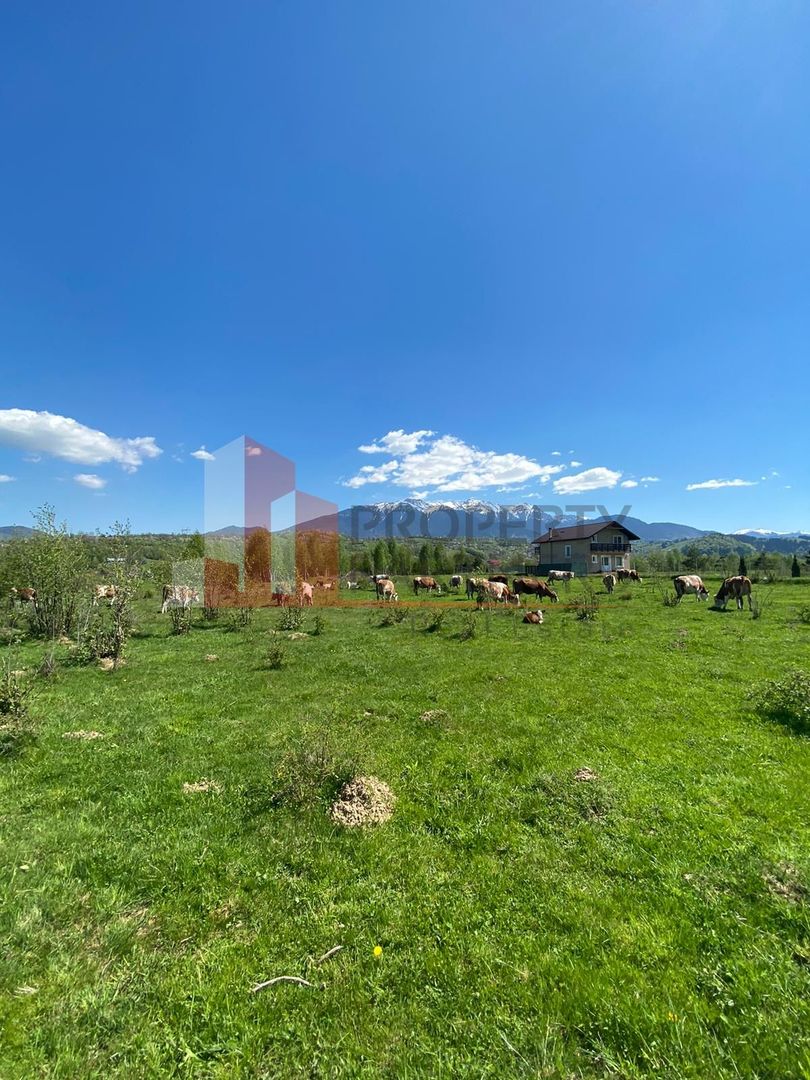 Teren Bran/ Predelut 10.663 mp. - Poză 1