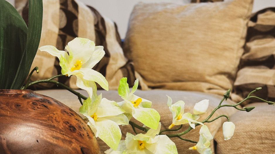 INCHIRIAT - Apartament 2 camere - Dumbravita Lidl - mobilat & utilat complet - Poză 24