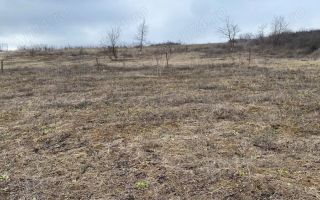 Vând teren extravilan (2026 intravilan) 2500 mp parcelabil zona hlincea lunca cetatuii - Poză 2