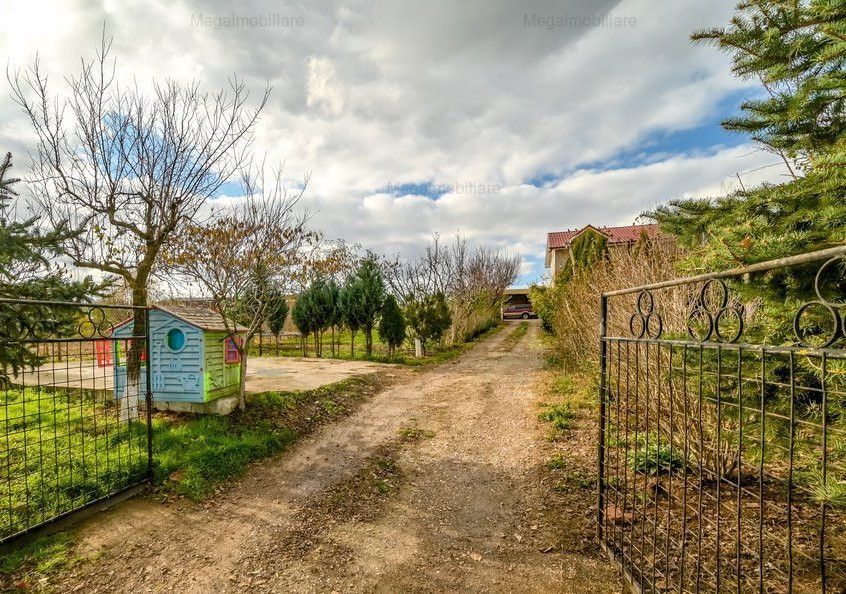Vanzare ferma agricola Negru Voda - Constanta cu 240 hectare teren si utilaje - Poză 7