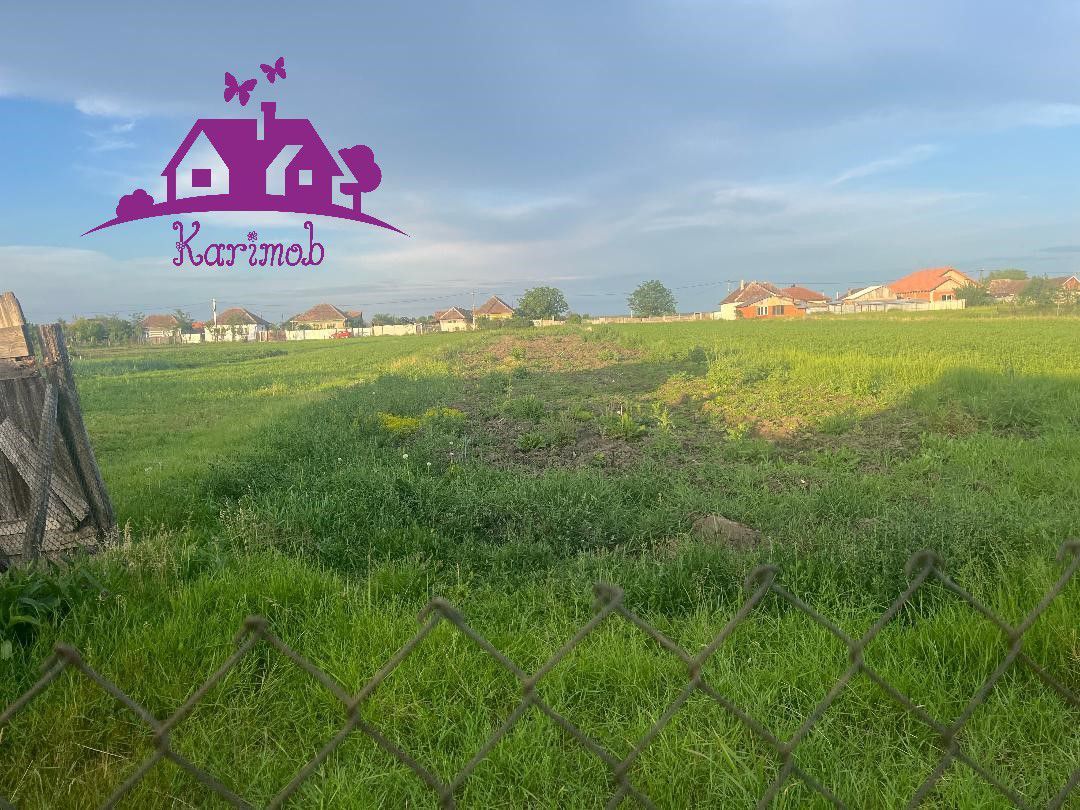 Casa în localitatea Ianosda - Poză 3