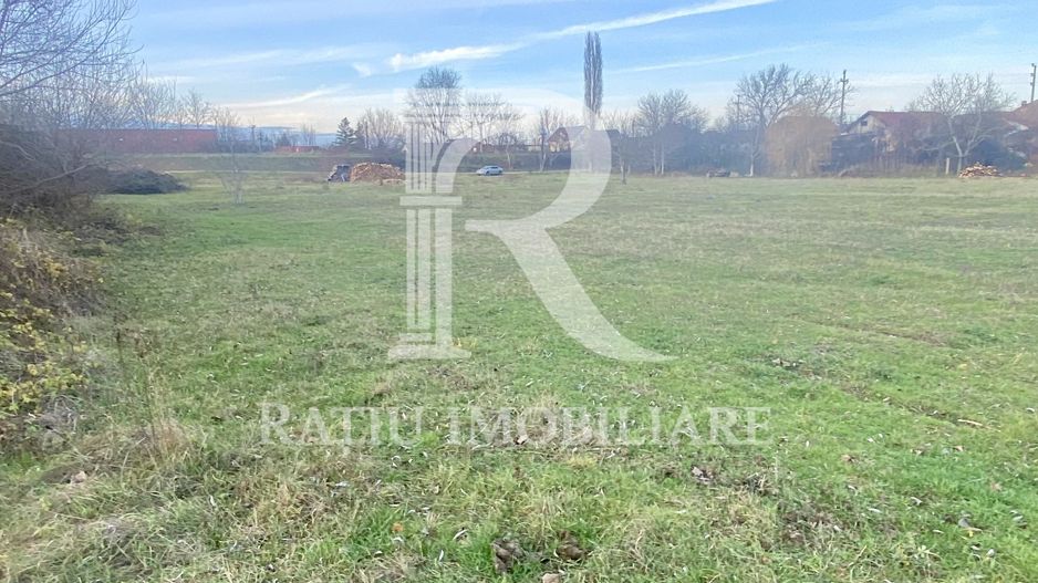 EXCLUSIV | TEREN INTRAVILAN | INVESTIȚIE | BEIUȘ – STR. PLOPILOR | 13.500 MP - Poză 4