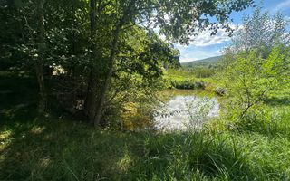 Teren 15 Ari | Cu Iaz & Terasat | Drumul Principal | 40.000 € - Poză 2