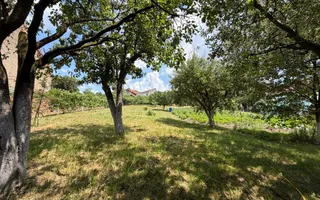 Case de vanzare Sibiu | Casă 3 camere | Gusterița, teren 2381 mp - Poză 32