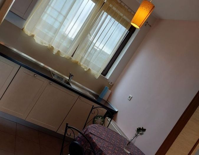 Apartament Parc Kiseleff/Piata Victoriei - Poză 7