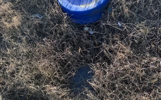 Teren intravilan cu autorizație de construcție, Vladiceni, Tomești, 501 mp - Poză 3