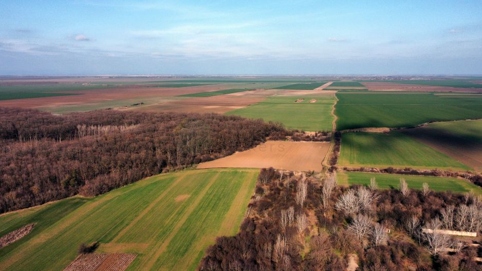 Ferma si livada de meri in judetul Ilfov - Poză 26