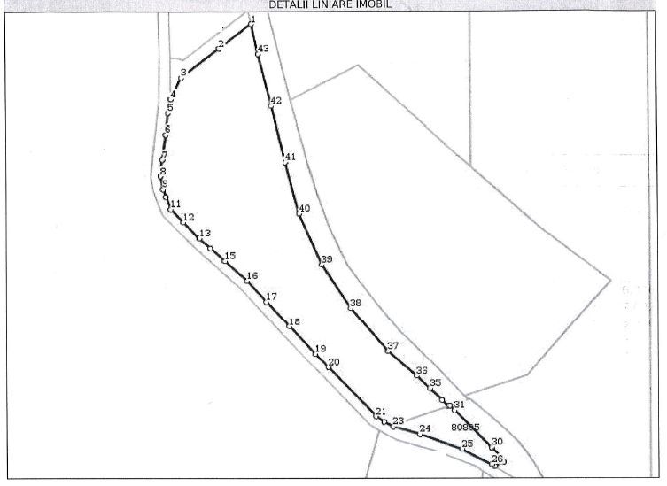 AZURA Imobiliare - Teren Topoloveni Bamesa Autostrada - Poză 11