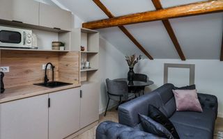 Proprietate ideala pentru investitie *354mp* inchirata pe 6 ani // Cismigiu - Poză 99