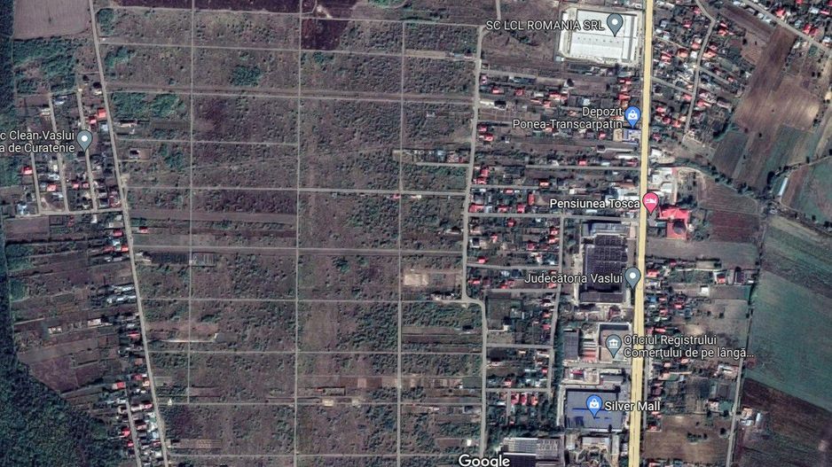 INVESTIȚIE - Teren extravilan 7000 mp, zona D. CANTEMIR - Ferma 3; - Poză 1