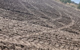 Teren de vanzare 4500mp Strada Rasaritului Darvari Ciorogarla A0 - Poză 5
