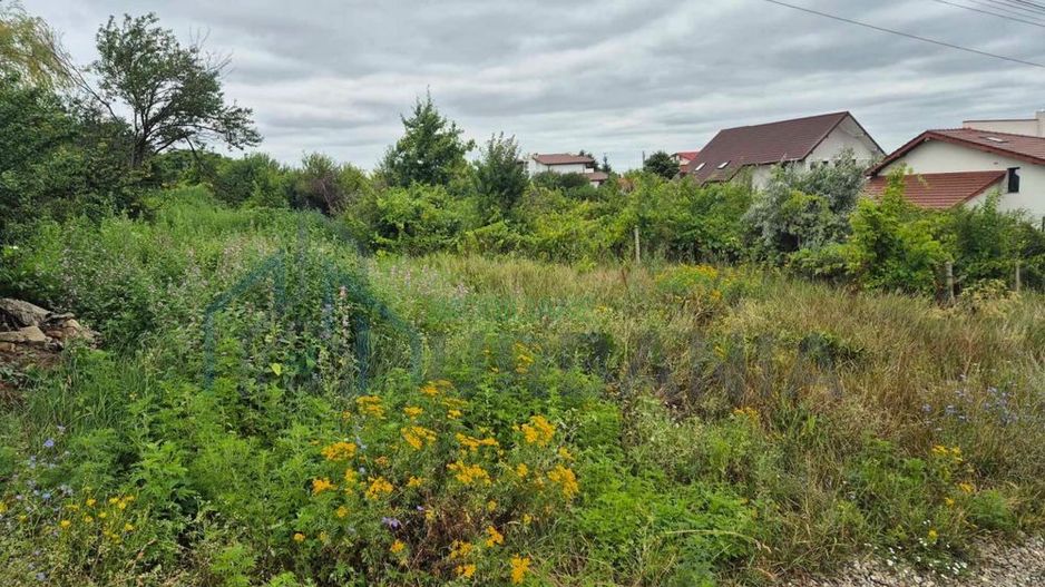 Vând Teren Vișan Bîrnova intravilan - Poză 2