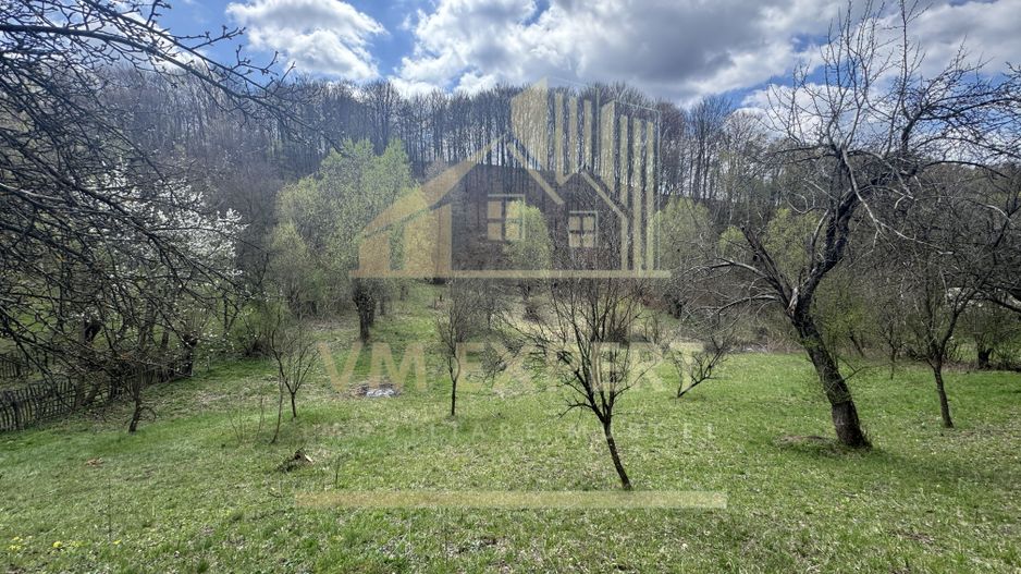 TEREN INTRAVILAN 4365 MP POENARII DE MUȘCEL  JUDEȚUL ARGES - Poză 15