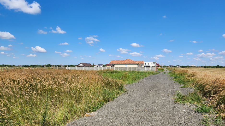 PUZ rezidential /servicii de vanzare Sacalaz - Poză 2