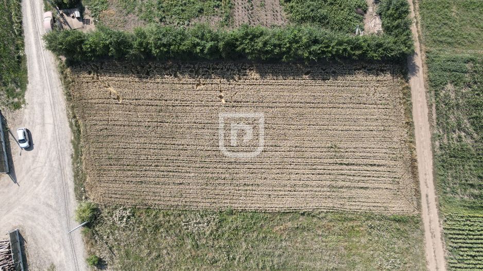 Teren 2000mp INTRAVILAN | Ilisesti | Bucovina - Poză 5