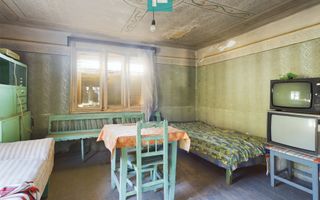 Casă de vacanță de vânzare în Tauț - Poză 10