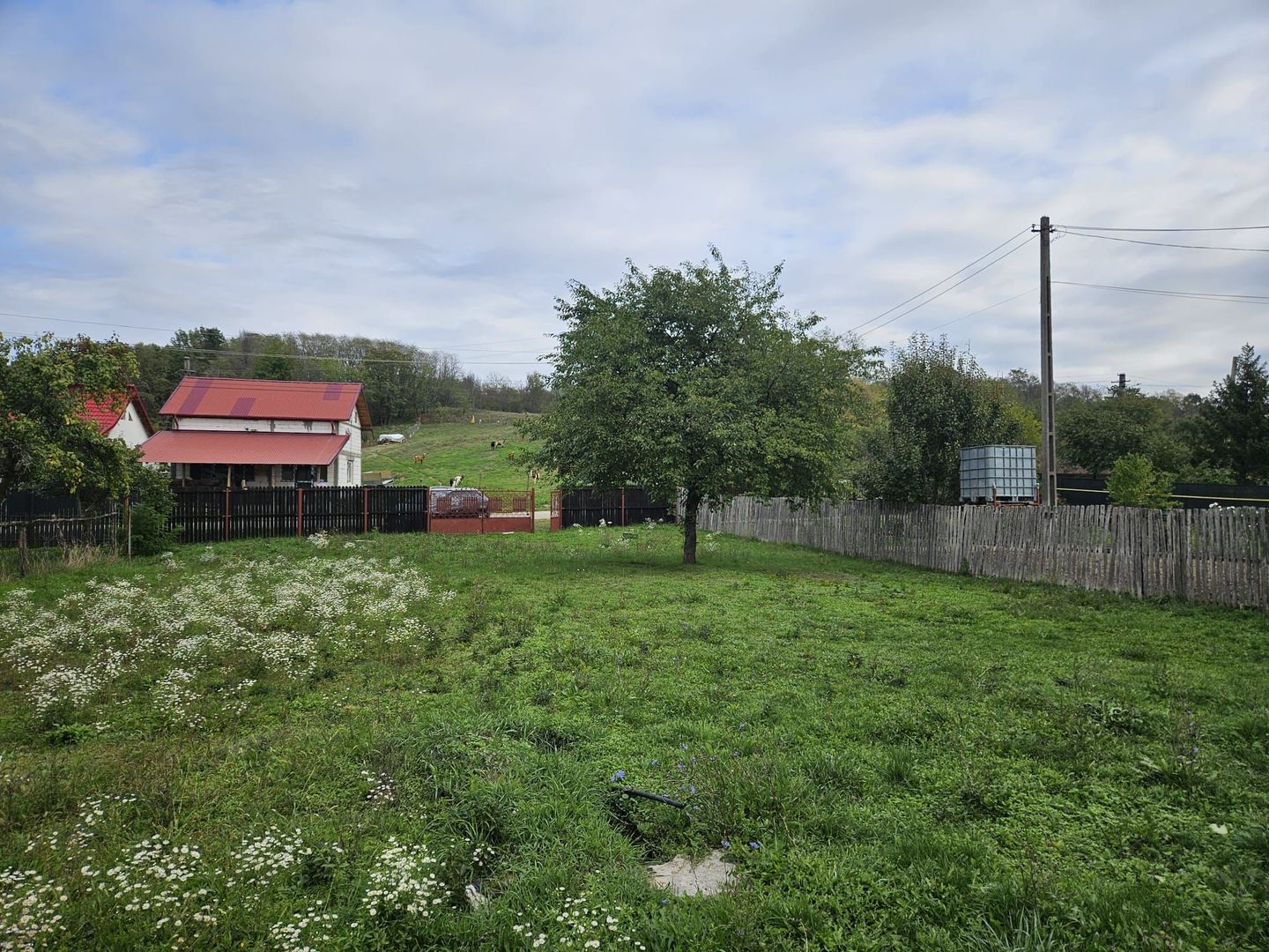 Casă de Vânzare în Albota, Sat Mareș – Liniște și Natură la Doar 10 Km - Poză 4