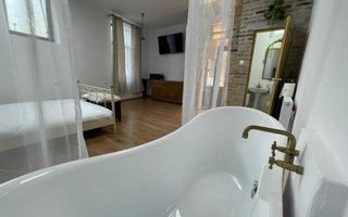 De vanzare apartament cu o camera zona Platinia. - Poză 3