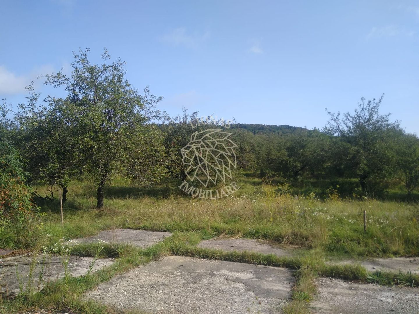 Teren 1500 mp - pretabil cabana/investitie - Zona Valea Rusului - Poză 4