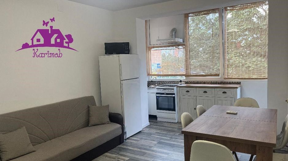 Apartament de inchiriat pe b-dul Dacia - Poză 2