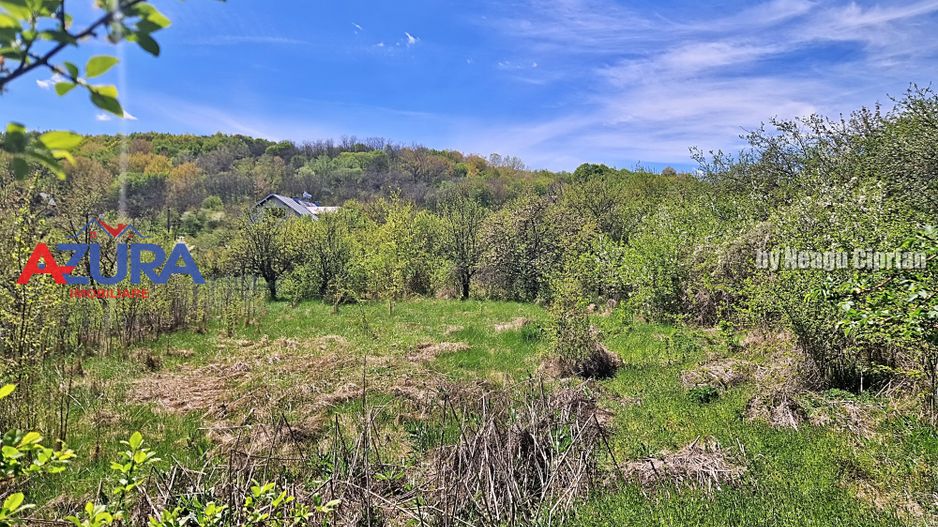 AZURA Imobiliare - Casa Merisani Varzaru DN - Poză 16