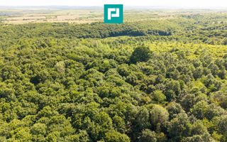 TEREN AGRICOL EXTRAVILAN  22.900 MP LIPOVA - Poză 10