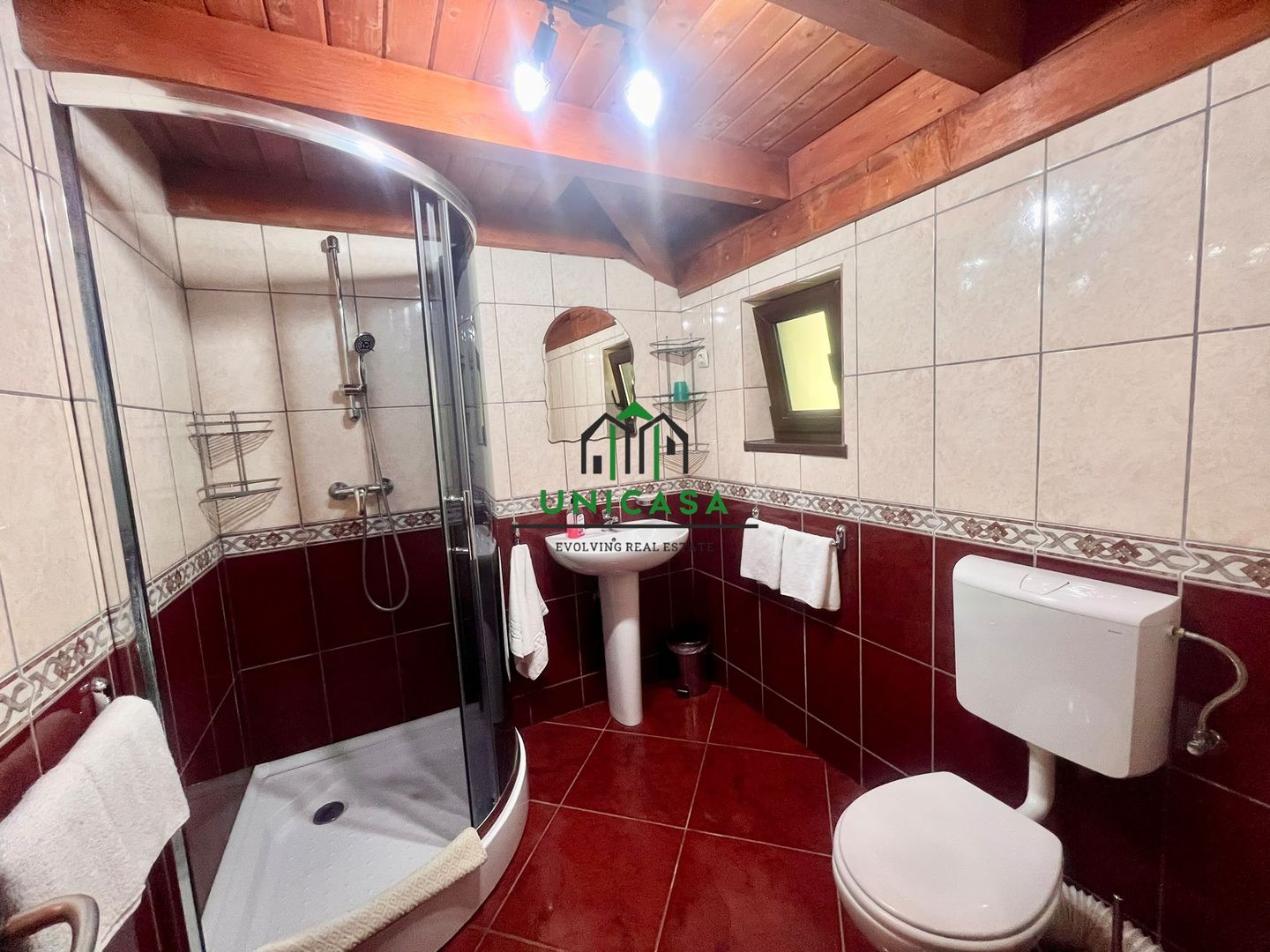 Proprietate deosebita de vanzare – Voinesița, Comuna Voineasa - Poză 18