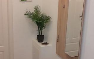 Studio modern Pallady, parter înalt, complet utilat, metrou 5 min - Poză 5