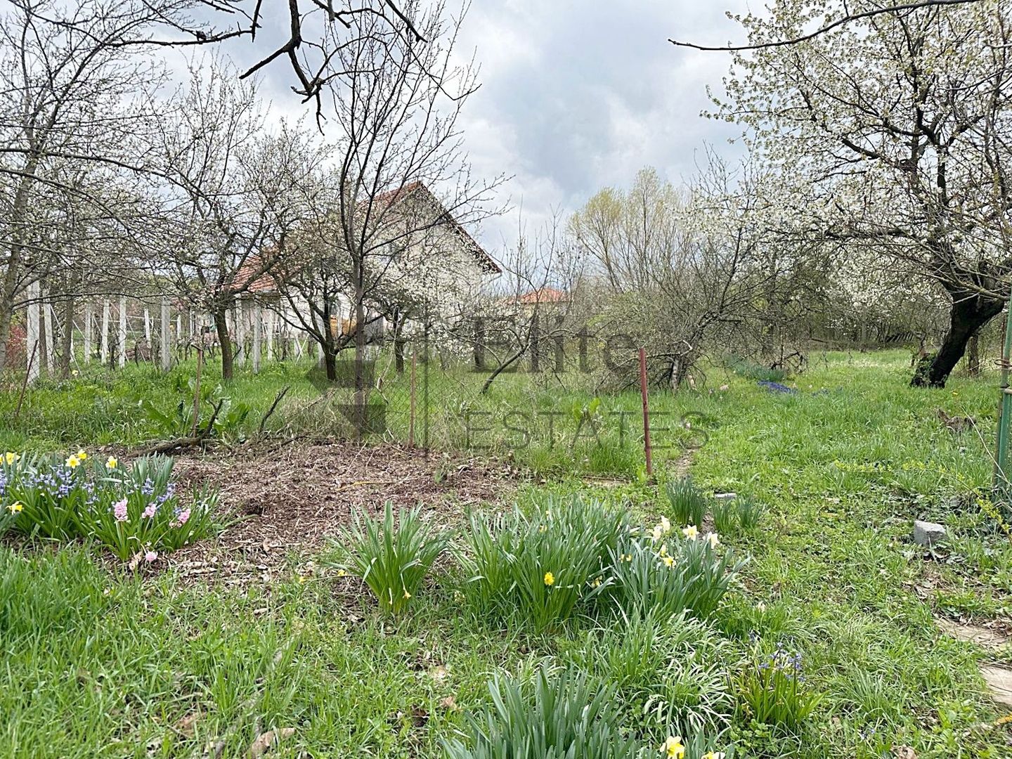 Teren intravilan 1270 mp Spitalul TBC | Dealuri Oradea - Poză 1
