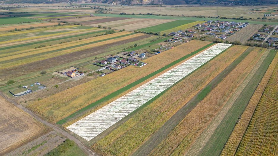 Teren Intravilan Bod | 15.000 mp | Zona Uranus - Constelației - Poză 3
