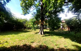 CASĂ DE VÂNZARE | 9 CAMERE | TEREN 1.000 MP | BĂICOI – ZONĂ CENTRALĂ - Poză 20