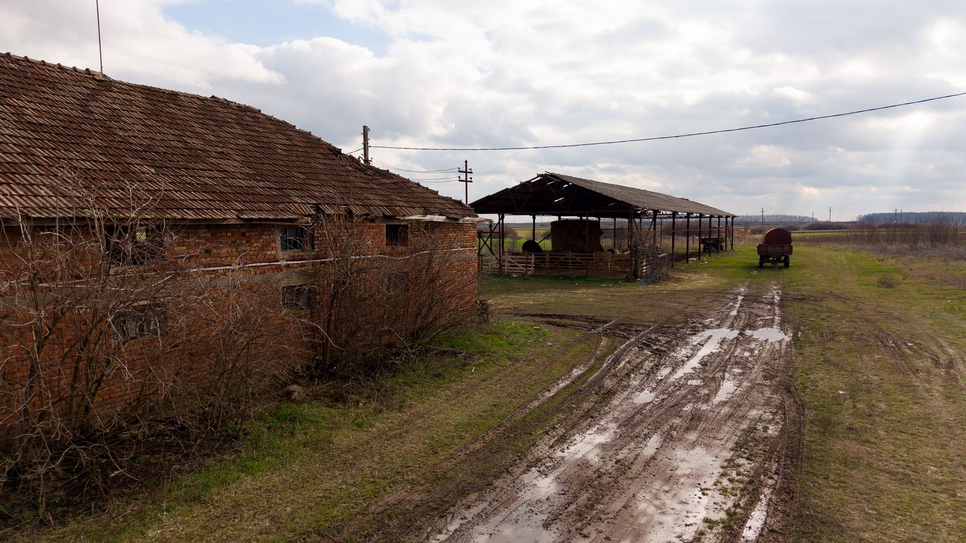 Fermă cu teren intravilan de 35000 mp în Mișca - Poză 14