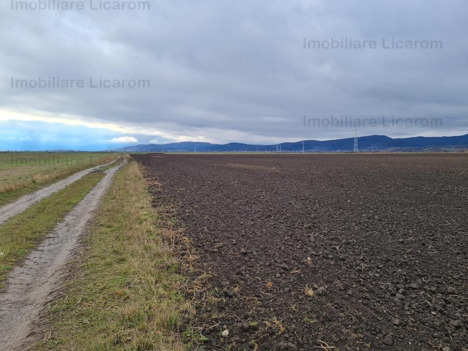 Teren Agricol 2,9 HA,intre Cristian si Vulcan/teren SPORT - Poză 6