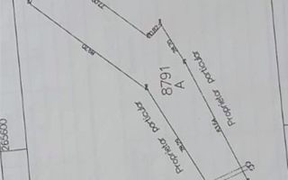 Teren 5096 mp extravilan Oncea/Episcopia Oradea - Poză 7