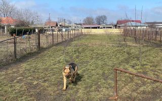 Investitie DN28 Iasi-Spatiu Comercial si Casa P/E/M-Parcare 299000Euro - Poză 6