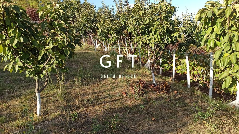 Teren intravilan 730 mp-livada-vedere panoramica-Valea Sigmirului - Poză 4