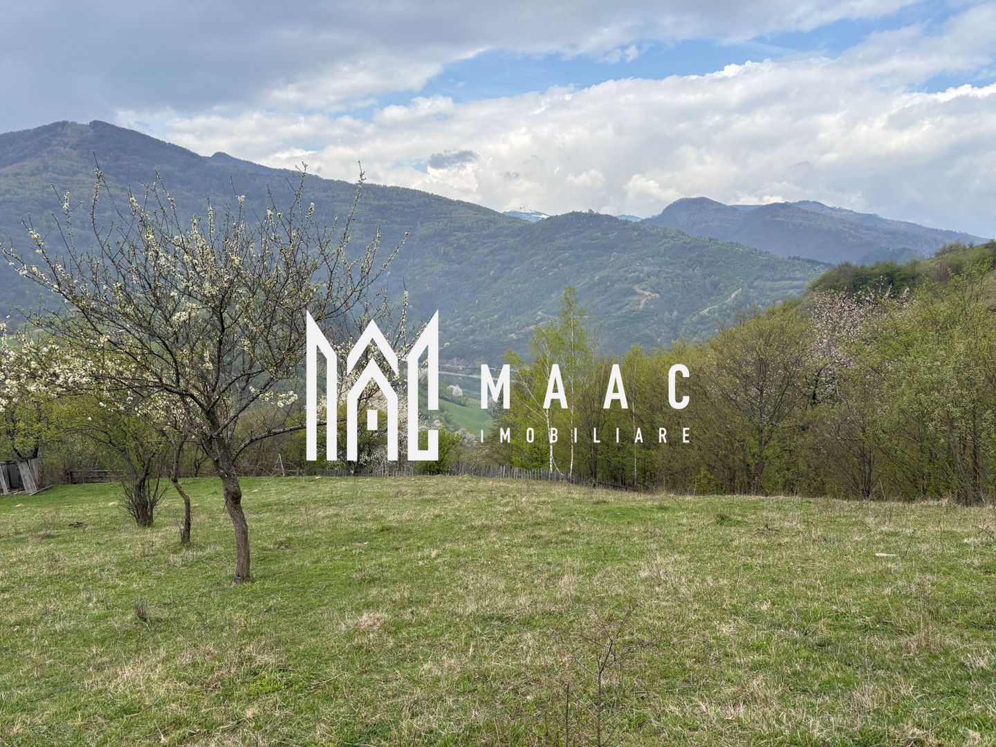 Teren de vânzare, 7750 mp I Orientare sudică I Caineni - Poză 5