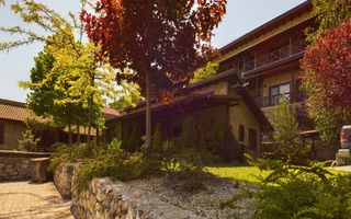 Pensiune de Lux pe Malul Dunării în Dubova - Poză 14