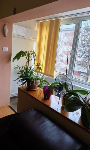 Apartament 4 camere, etaj 2, boxa, garaj - zona Steaua - Poză 12