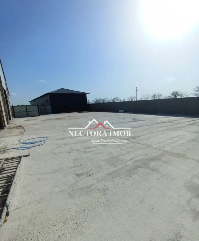 NECTORA IMOB-Hala industriala 1000 mp utili + 1500 mp teren, Aeroport - Poză 6